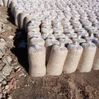 تفاله چغندر