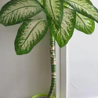 حراج اثاث خانه|حراج|اصفهان, خواجو|دیوار