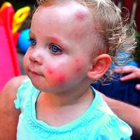 سمپاشی و موریانه زدایی بهبهان