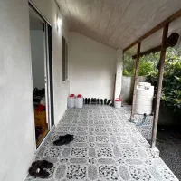 به قیمت زمین باغی /ویلای ساحلی بخر|فروش خانه و ویلا|چاف و چمخاله, |دیوار