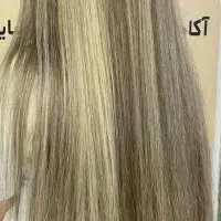 رنگ ولایت و انواع کوتاهی