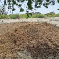 کود گوسفندی فروشی....