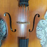 فروش ساز ویولنسل۴/۴