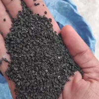 بذرپیاز سفید درجه۱