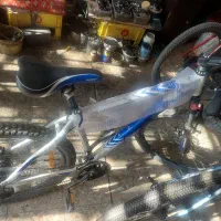 دو چرخه فونیکس