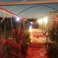 باغ ومداداری|فروش خانه و ویلا|ساروق, |دیوار