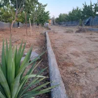 باغ با درختان بزرگ|فروش زمین و ملک کلنگی|مشهد, درزآب|دیوار