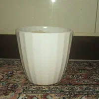 گلدان|گل و گیاه طبیعی|مشهد, جاهد شهر|دیوار