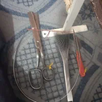 دارقالی آموزشی