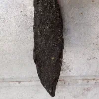 شهاب سنگ وسنگ فوق قدیمی