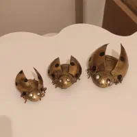 کفشدوزک برنجی