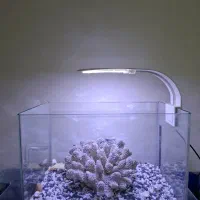 اکواریوم شیشه خم بدون خط و خش