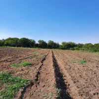 فروش زمین