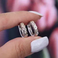 گوشواره حلقه نقره|جواهرات|تبریز, |دیوار