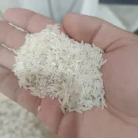 فروش برنج طارم هاشمی|خوردنی و آشامیدنی|قائم‌شهر, |دیوار