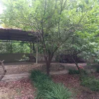 سولقان|فروش خانه و ویلا|کن, |دیوار