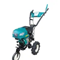 تیلر گلف  ۷ اسب بنزینی