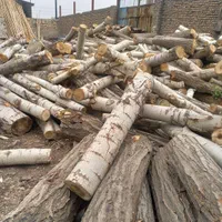 خرید چوب و درخت