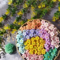 قند و نبات گیاهی و فانتزی