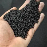 بزر کلزاه دستی درجه یک