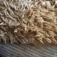 فرش 6 متری شگی