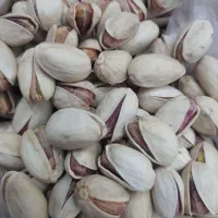 پسته احمد آقایی