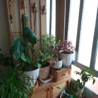 تختخواب دو نفره .کمد وجاکفشی|تخت و سرویس خواب|ملایر, |دیوار