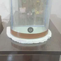 اکواریوم شیشه خم