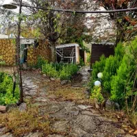 ۴۰۰ متر رستوران در دل جنگل، رشت جاده تهران