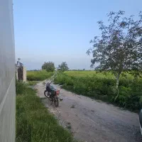 ویلا200متری با ویوی شالیزار لشت نشا روستایی|فروش خانه و ویلا|رشت, گلسار|دیوار