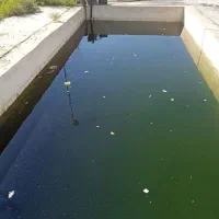 کارگر بلوک زن وارد کار|استخدام معماری، عمران و ساختمانی|پاکدشت, پاکدشت (مامازند)|دیوار