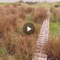 زمین در استان گیلان فومن