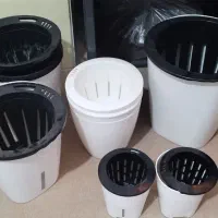 تعدادی گلدان هیدروپونیک