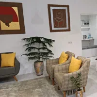 ویولن|ویولن|جم, |دیوار