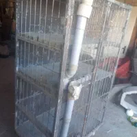 گنجه جفت کن|لوازم جانبی حیوانات|محمدشهر, جعفرآباد|دیوار