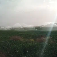 چاه آب 4اینچ دائم 22هکتارزمین بارانی واستخرماهی|اجارهٔ دفتر صنعتی، کشاورزی، تجاری|فرمهین, |دیوار