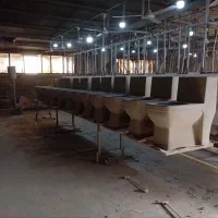 توالت فرنگی درجه یک نقد و چک|لوازم سرویس بهداشتی|قم, چهل درخت|دیوار