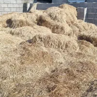 کاه ، کُلش ، سرچینا