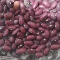 کارگربرای لوبیاچینی سیب زمینی