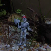 پرورش ماهی آکواریومی|ماهی|اهر, |دیوار