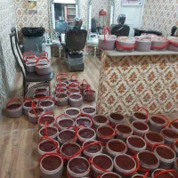 رب خانگی اعلاء
