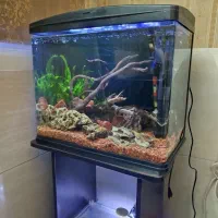 آکواریوم شیشه خم ماهیران