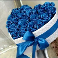 گل ربانی،جاودان|گل مصنوعی|زابل, |دیوار