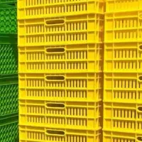 سبد میوه / سبد صنعتی|عمدهفروشی|تهران, یافتآباد|دیوار