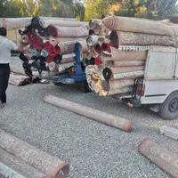 قالیشویی مادر ۱۰۰٪تضمینی قالیشویی اتوماتیک|خدمات نظافت|خرم‌آباد, |دیوار