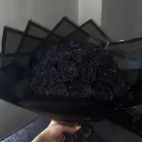 عروسک|اسباببازی بچه|مشهد, رضاشهر|دیوار