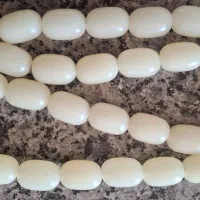 سندلوس شب نما