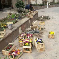 خدمات باغبانی سمپاشی هرسکاری کوددهی بامهر فاکتور