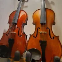 ویولن تی اف|ویولن|تهران, گلستان (شهرک راه آهن)|دیوار