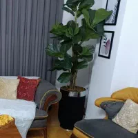 گل مصنوعی در حد